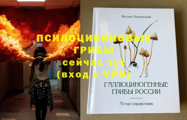 марихуана Абаза