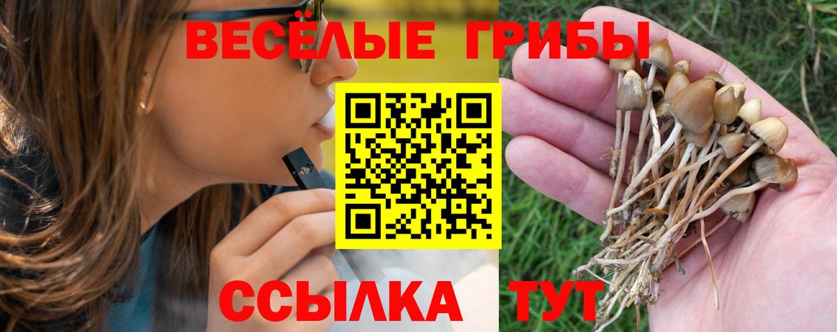 Галлюциногенные грибы мухоморы  Вход с VPN  Усолье-Сибирское 
